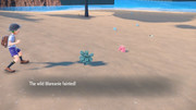 [PokeCommunity.com] The Monotype Challenge v8, Tera Edition