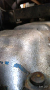 P-20210403-125224-p.jpg
