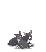 Corgiadultpupwhiteudner