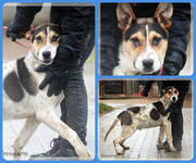 Be-Funky-collage-16.jpg&key=641edf86a7ee