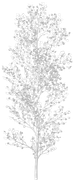 DS-WTL-Element-9