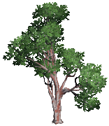 84bfa8c2f01a895b05476f6e62b67d19 (1)