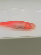 WhatsApp Image 2025-08-23 at 17.14.06