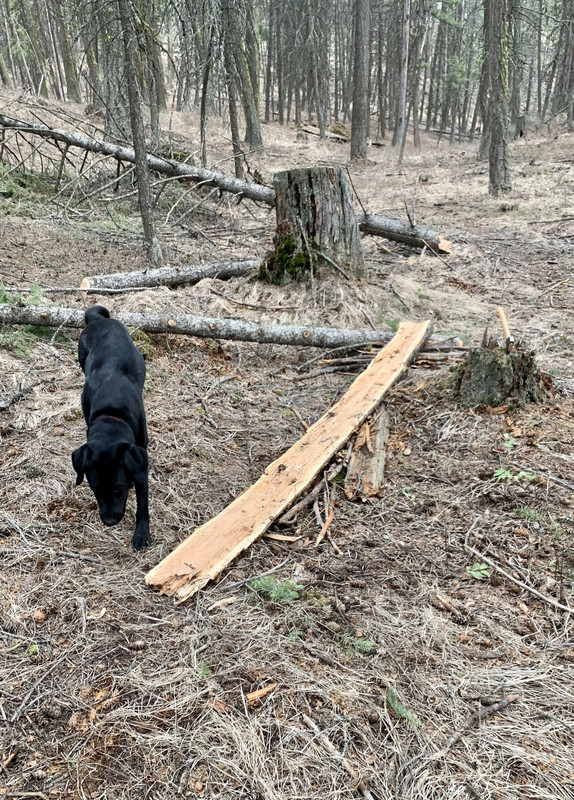 56A9A608-894B-470E-97C8-664B738C7289