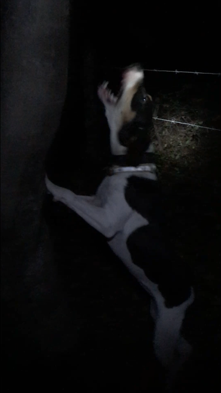 5329BCD6-1BE6-4DC0-8CEE-8D6B5985D078