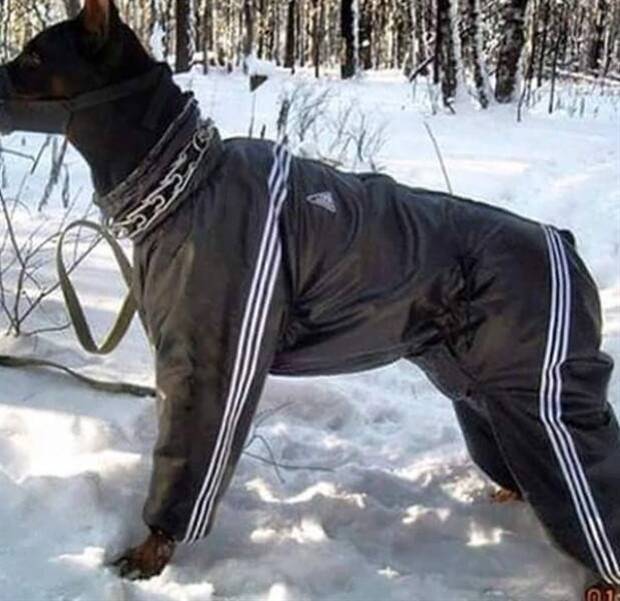 klyker-picdump-1-12-2024-43.jpg