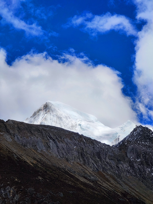 IMG_20230520_163308_副本