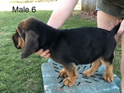 2BF113B9-D874-4800-B340-30750E503BCC