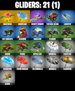gliders-comp