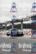 IMG-1241