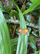 IMG-6416