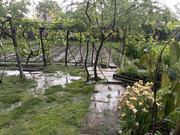 IMG-3428