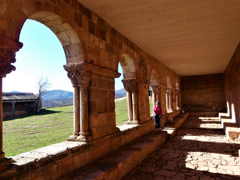 YACIMIENTO ARQUEOLOGICO DE TIERMES-16-2-2020 - Soria y sus pueblos-2010/2013/2020 (13)