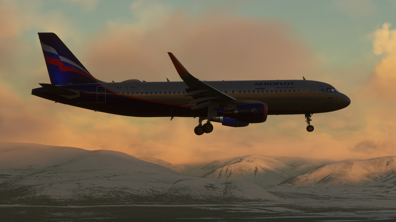29957-png.jpg