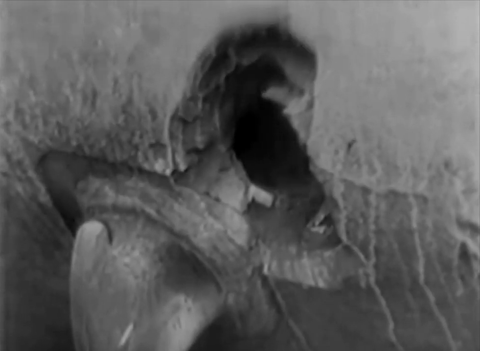 из хроники вместе с 12. 1