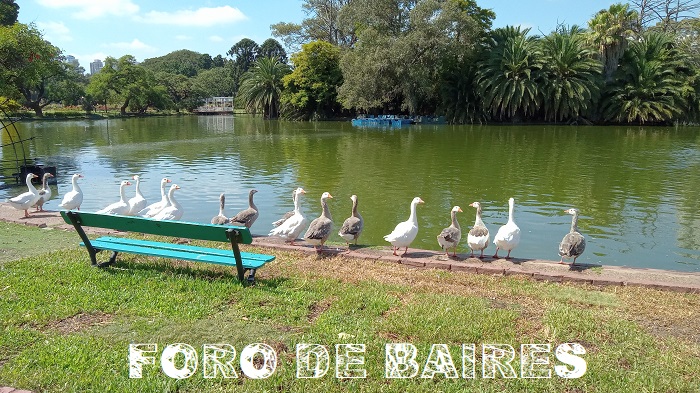 fotopalermogansos5