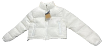 The North Face Down Jacket