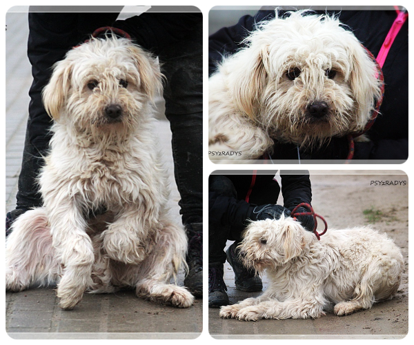 BeFunky-collage (26)