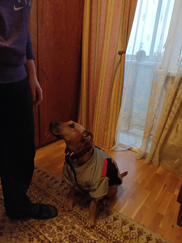 F833E5D8-4D5D-455C-BDC8-416F3B07D602