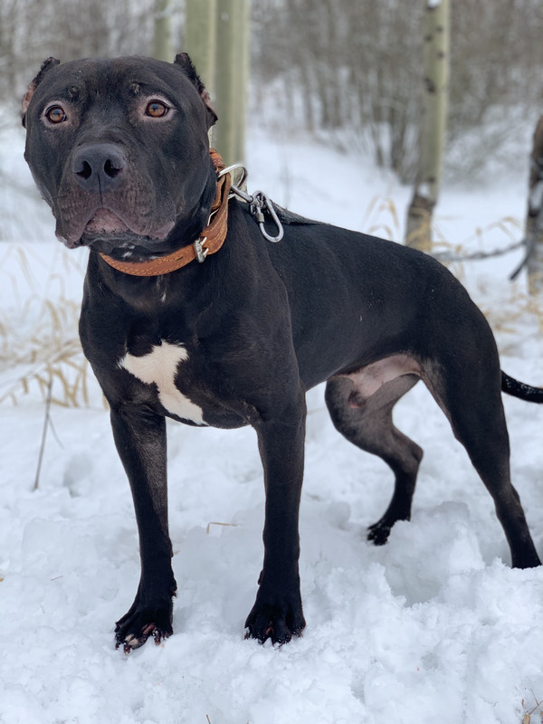 0ABA8F00-CC56-4AD7-8E22-F51047A54C38