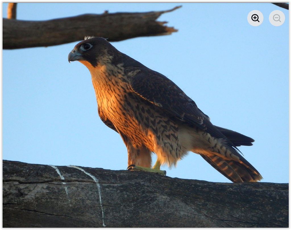 Screen Shot 12 24 25 at 03 05 PM