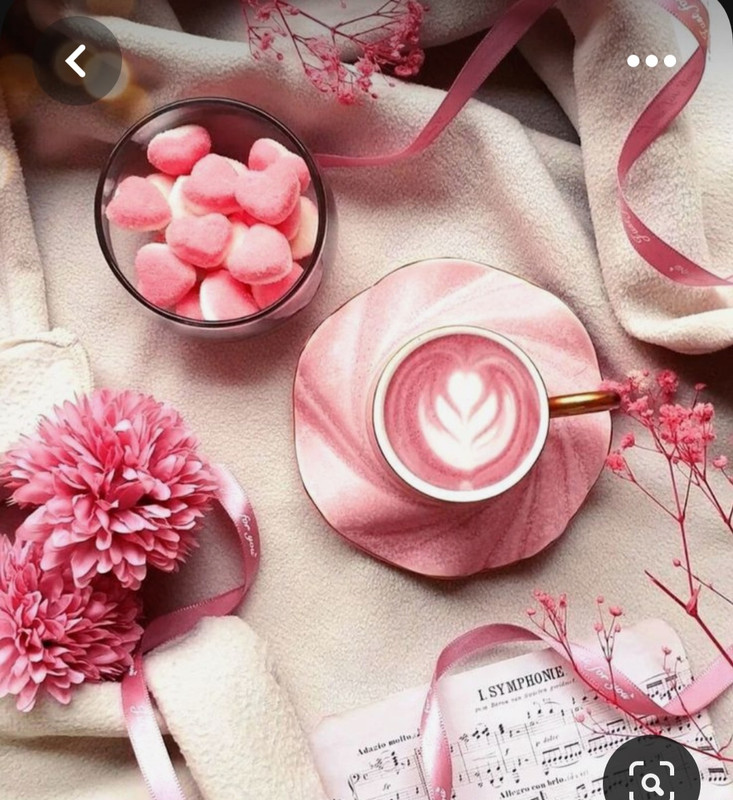 Screenshot_20230615_225845_Pinterest