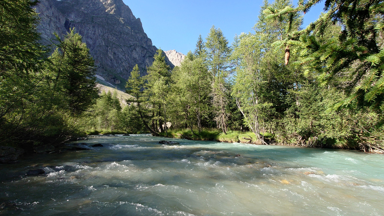 20210808-174916.jpg