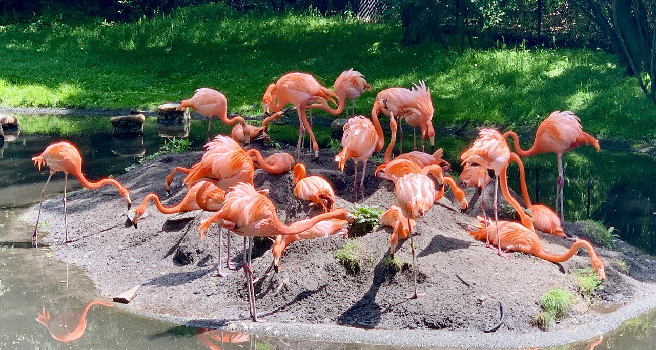 3BBDBC72-6CB3-4450-A06B-B56AA7213224