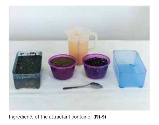 plastic-box-for-attracting-bsf.jpg