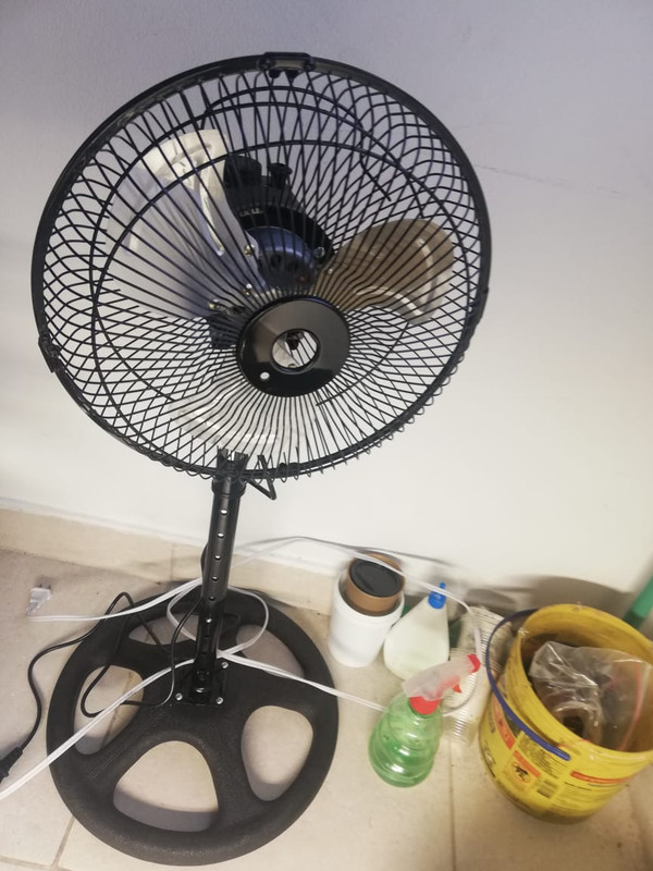 WhatsApp Image 2020-06-30 at 10.39.30 AM