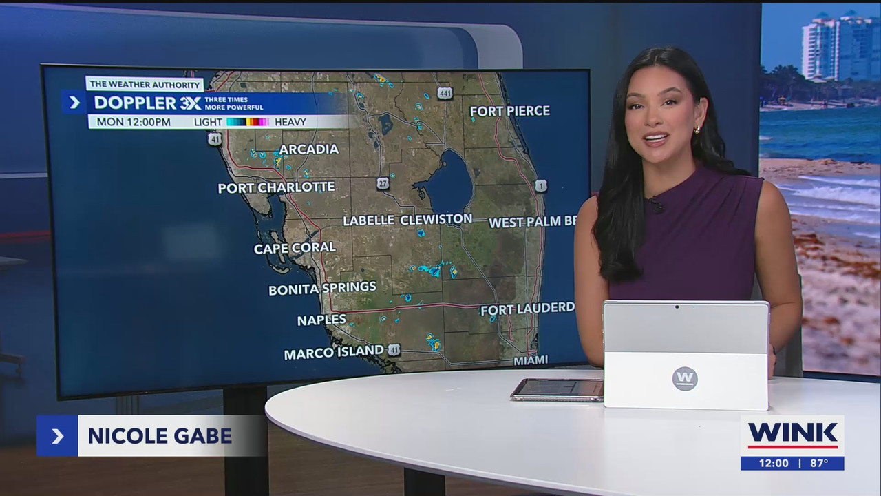 06.10 - 17.00.00 - The WINK Noon News  ᴺᵉʷ. Midday news update..ts_snapshot_06.46.131