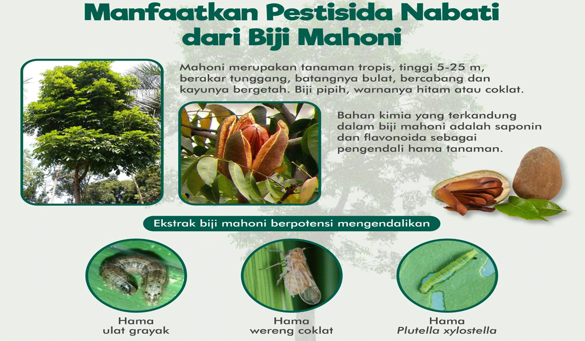 Eco-Friendly Chemical Alternatives