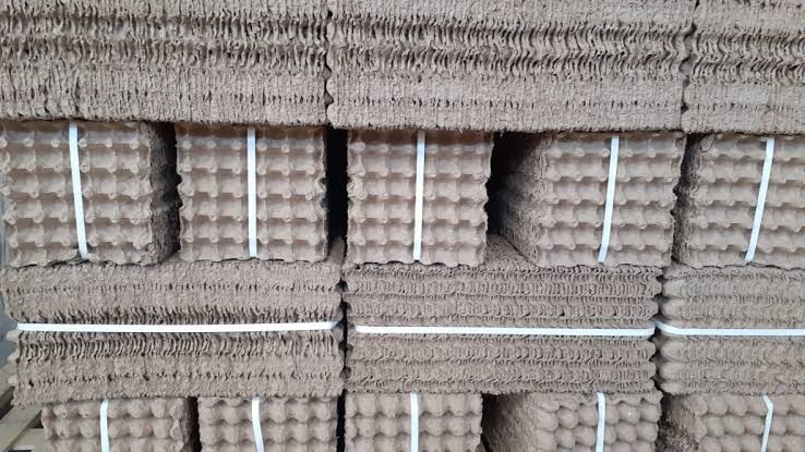 Durable cardboard egg trays for safe storage and transport