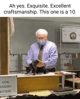 cat.gif