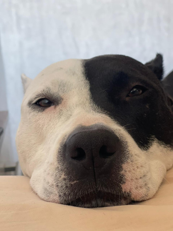 81BBF263-EA9A-43AC-9AB3-BB30017D05DD