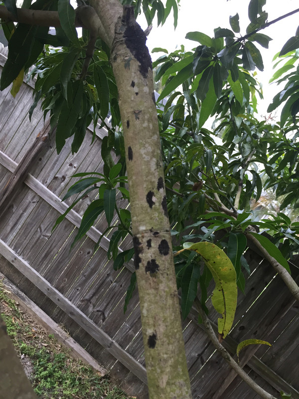 00D3C0F7-1DF4-4AC5-893B-712EE7ECE14E