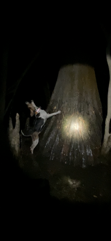 4D3DFAFB-6DFD-4747-83A7-3C2AC61BD7ED