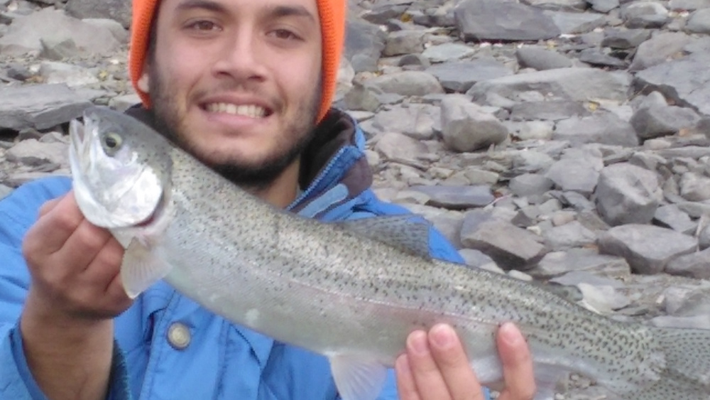 shokanrainbow