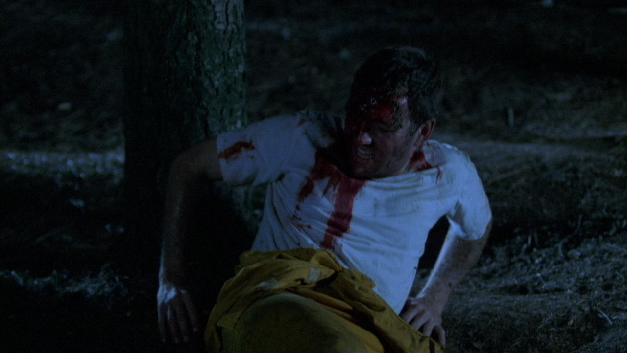 Wrong Turn 3 - Left for Dead 2009 (1080p x265 10bit Tigole).mkv_