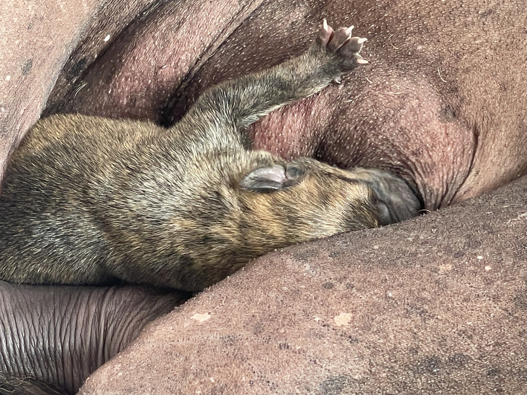 99EF8D1C-F97A-4A8A-9948-993BDD756EE3