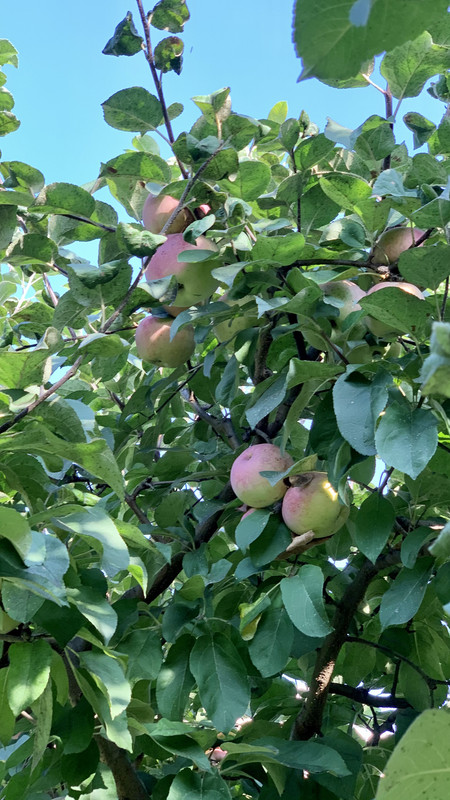 C5796136-2E42-4DA6-89C3-559137BBC719