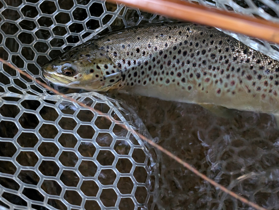 PXL_20250612_002848321.MP