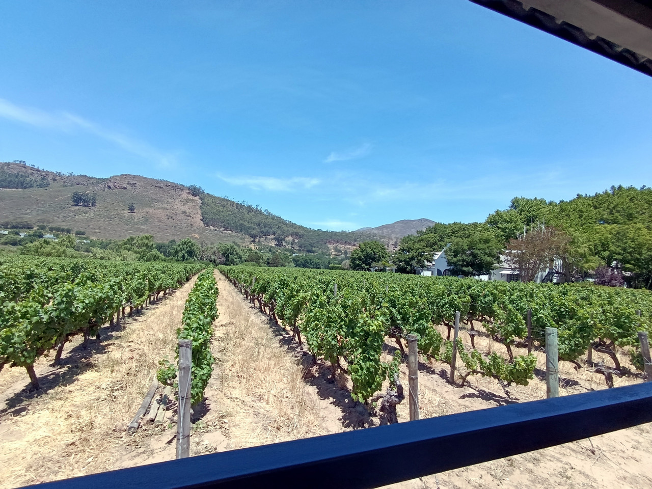 Такая близкая Африка. (ЮАР. 22 дня и 4200 км. Ноябрь-Декабрь)