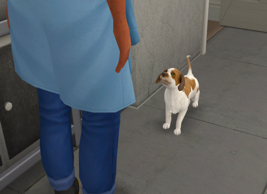 ksnip-20250826-203205