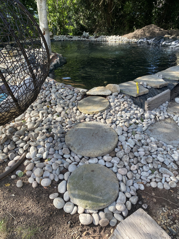 99173C18-67CC-44F4-8BE0-D9FFAC764639