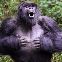 4FfmV1g_Easy-Resize.com