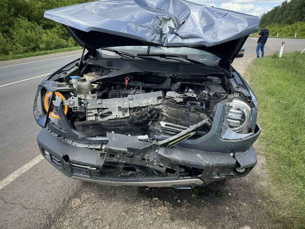 h0J0PlLziH8ODKNVt0ruSgnn5qM-1920