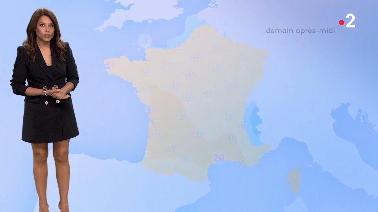 2021-04-03_20_00_Fr2_20-heures.mp4_snapshot_01.33.503