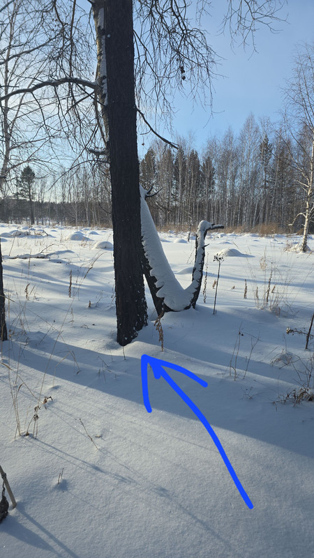 IMG2 15012026 125846
