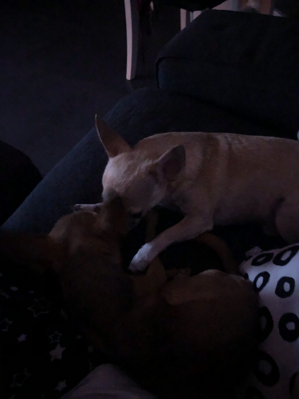 CE751AD0-5CE9-4B47-94EF-B7F56B831FAE